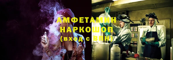 индика Алексеевка