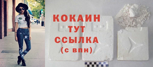 кокс Алексин