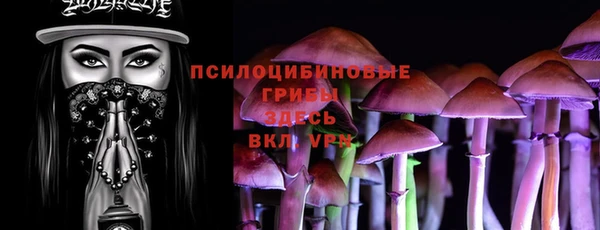 а пвп мука Алзамай