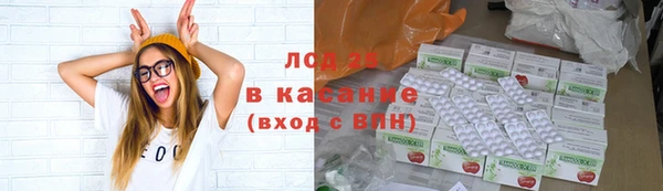 кокс Алексин