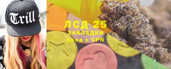 индика Алексеевка